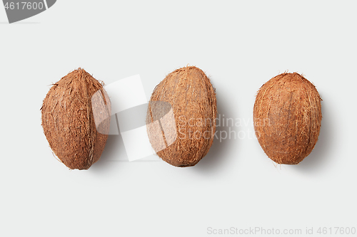 Image of Fresh ripe tropical coconut fruits isolated on white background.