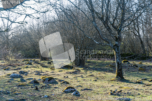 Image of Morning sunshine in a stony landscape