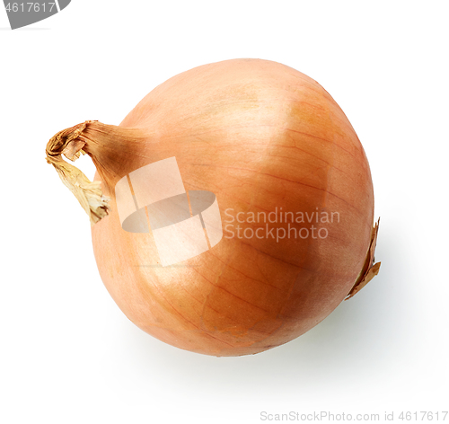 Image of fresh raw onion