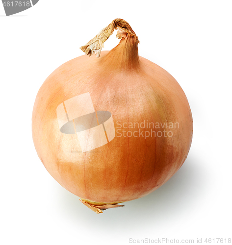 Image of fresh raw onion