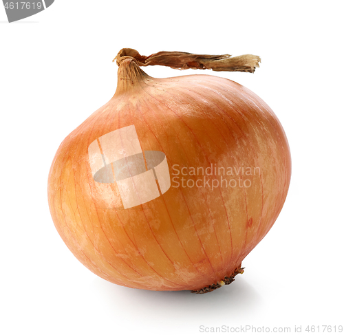 Image of fresh raw onion