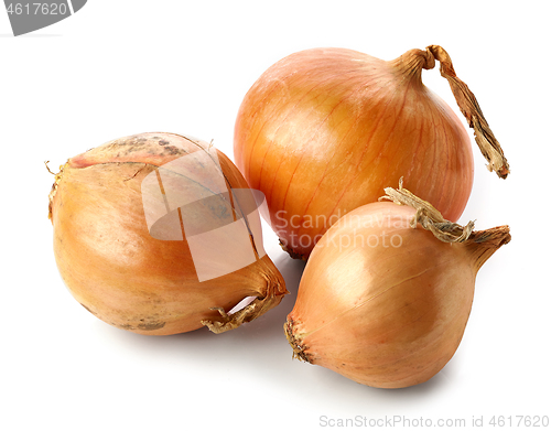 Image of fresh raw onions