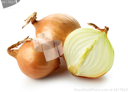 Image of fresh raw onions