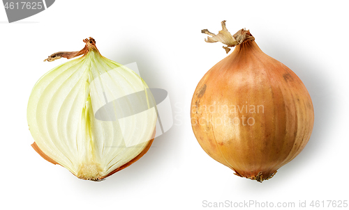 Image of fresh raw onions