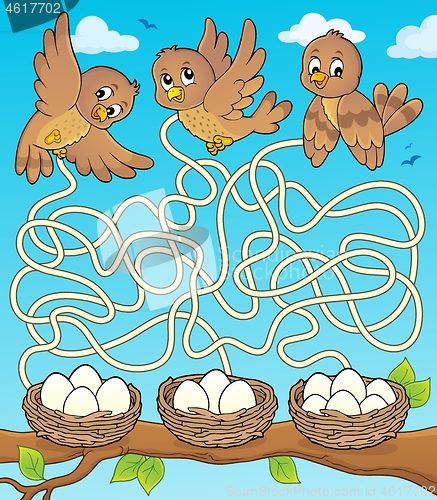 Image of Maze 34 with birds and nests