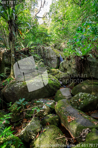 Image of waterfall in Nosy Mangabe, Madagascar wilderness