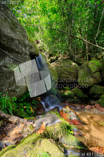 Image of waterfall in Nosy Mangabe, Madagascar wilderness