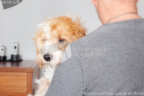Image of sweet dog hug