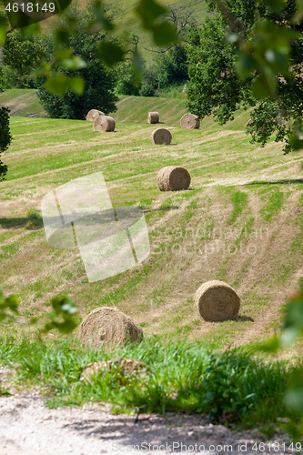 Image of some straw bales on a field in Marche Italy