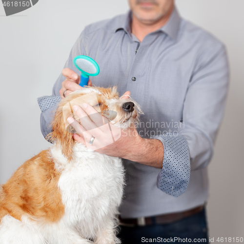 Image of Sweet Dog Grooming