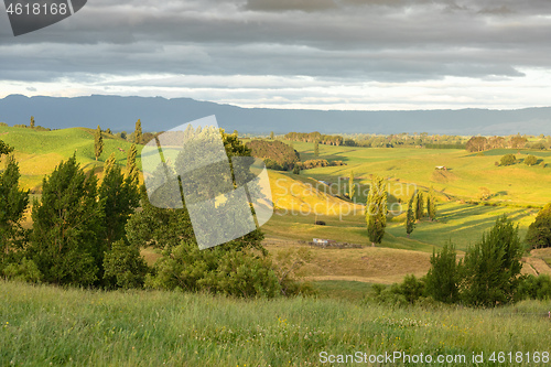 Image of typical rural landscape in New Zealand