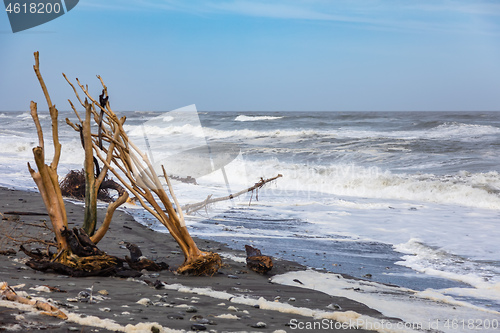 Image of jade beach Hokitika, New Zealand