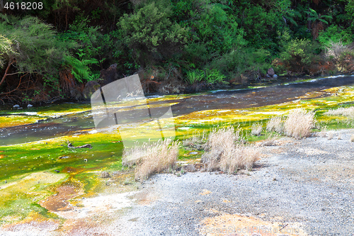 Image of volcanic activities at waimangu