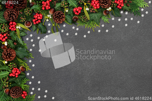 Image of Natural Winter and Christmas Background Border