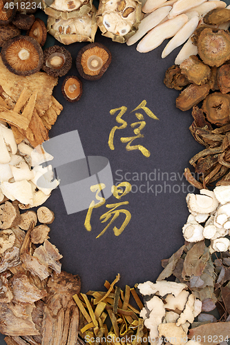 Image of Chinese Yin and Yang Herbs