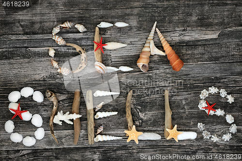 Image of Sea Shells Abstract Background on Rustic Wood