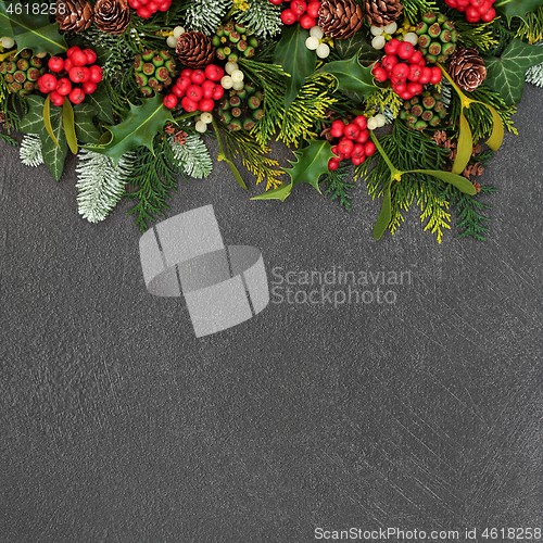 Image of Christmas Background Border with Winter Holly & Flora