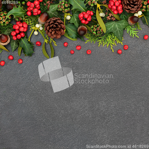 Image of Christmas Winter and New Year Border with Winter Greenery