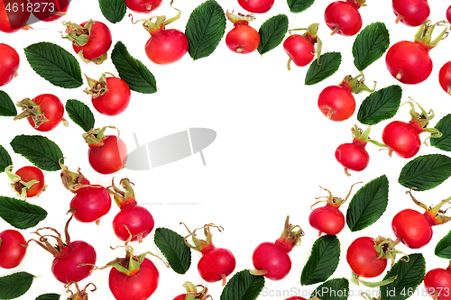 Image of Juicy Rose Hip Fruit Background Border