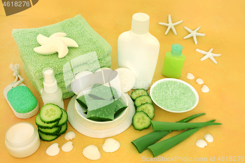 Image of Aloe Vera & Cucumber Skin Care Beauty Treatment