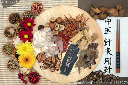 Image of Chinese Herbs and Acupuncture Needles