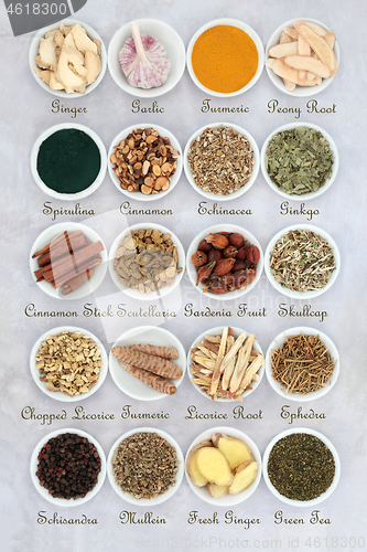 Image of  Asthma Relieving Herbs and Spices