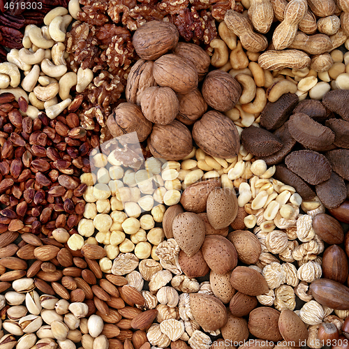 Image of Healthy Dried Nut Selection High in Protein