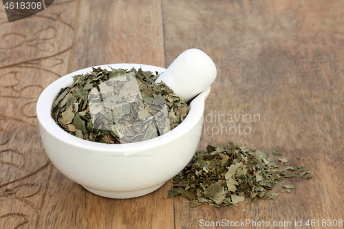 Image of Birch Leaves Herb