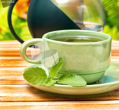 Image of Tea With Mint Means Herbs Refreshed And Refresh 