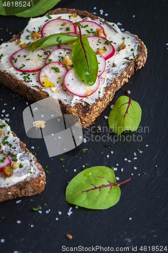 Image of Delicious vegetarian sandwiches