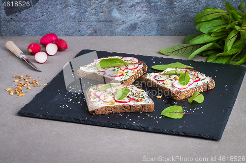Image of Delicious vegetarian sandwiches