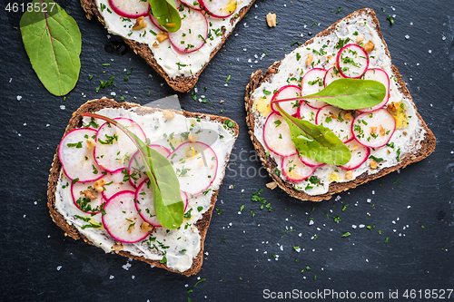 Image of Delicious vegetarian sandwiches