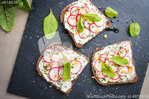 Image of Delicious vegetarian sandwiches