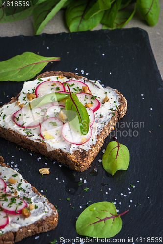 Image of Delicious vegetarian sandwiches