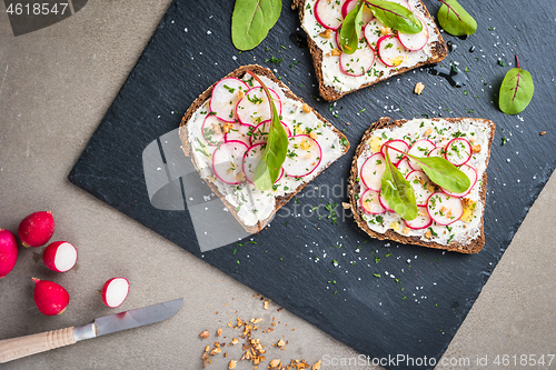 Image of Delicious vegetarian sandwiches