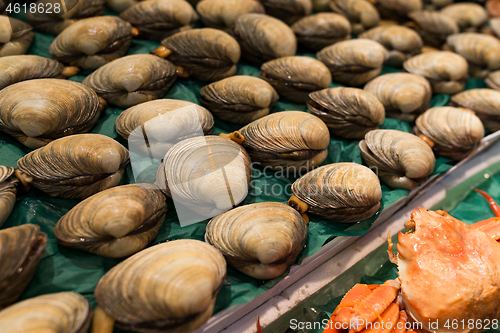 Image of Fresh Clam and snow crab in fish market