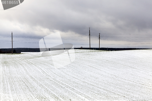 Image of Electric poles , Winter