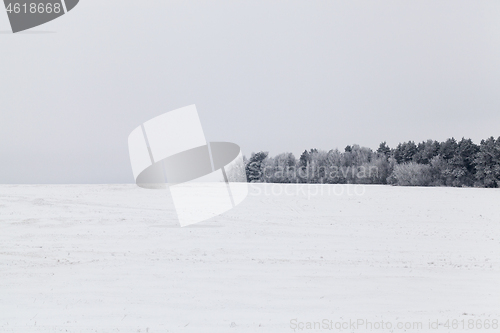 Image of Snow drifts in winter