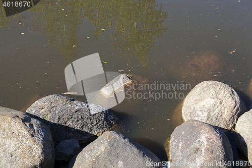 Image of stone in pond