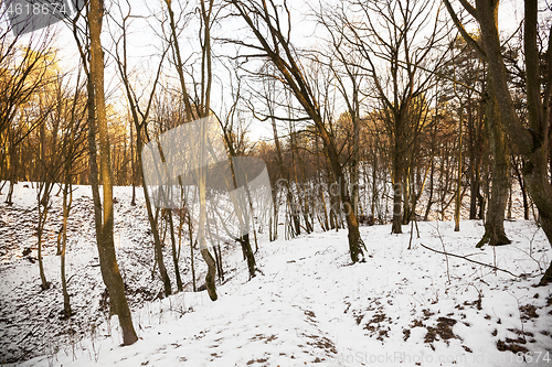 Image of Snow winter