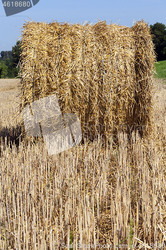 Image of hay bale , closeup