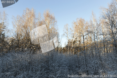 Image of Snow drifts in winter