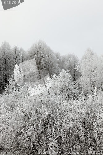 Image of Snow drifts in winter