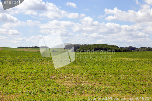 Image of Nature, landscape
