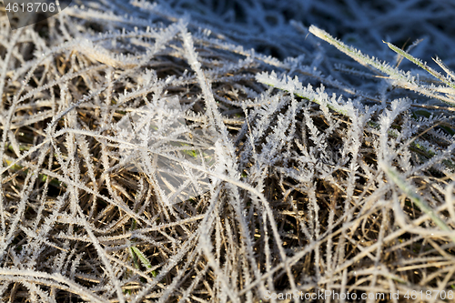 Image of grass in winter