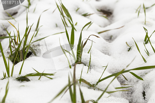 Image of Snow drifts in winter