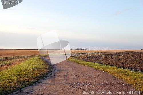 Image of countryside road