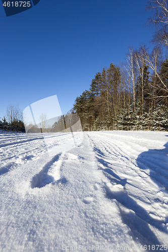 Image of road in winter forest close-up