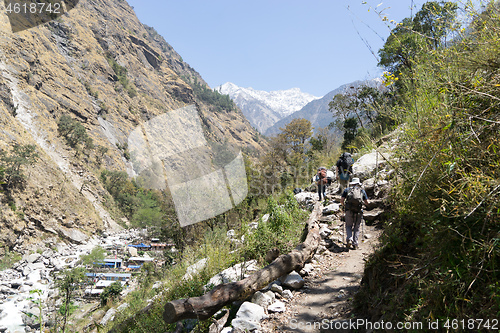 Image of Nepal trekking in Langtang valley