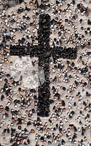 Image of Closeup Grave